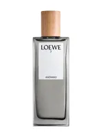 7 Anonimo by Loewe