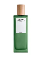 Agua Miami by Loewe