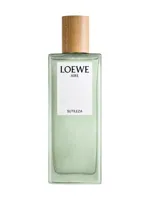 Aire Sutileza Elixir by Loewe