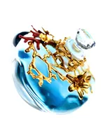 The Heart-Catcher by Lolita Lempicka