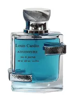 Adventure by Louis Cardin