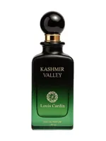 Kashmir Valley by Louis Cardin