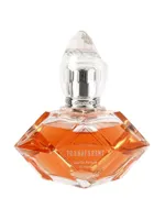 Transparent by Louis Cardin