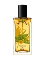 Abiba by Lush