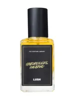 Hairdresser's Husband by Lush
