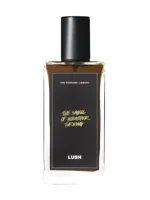 The Smell of Weather Turning by Lush