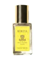 Mimosa by Maria Candida Gentile
