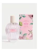 Floral Collection Rose by Marks & Spencer