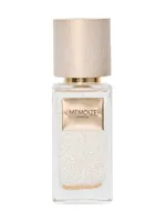 Amplifico by Memoize London