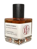 Ponte Etereo by Meo Fusciuni