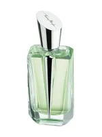 Mirror Mirror Collection - Miroir Des Vanites by Mugler