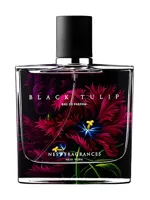 Black Tulip by NEST New York