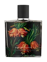 Paradise by NEST New York
