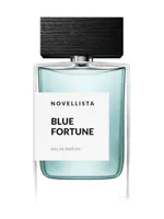 Blue Fortune by Novellista