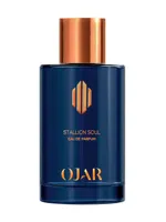 Stallion Soul by OJAR