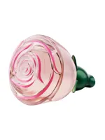 Volare Moments by Oriflame