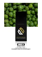 Amber Noir by Perfume Parlour