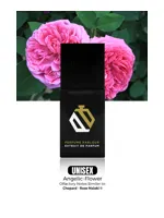 Angelic Flower by Perfume Parlour