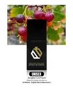 Angles Crimson by Perfume Parlour