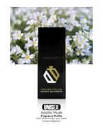 Apollo Musk by Perfume Parlour