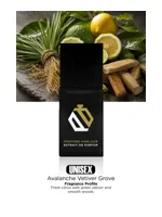 Avalanche Vetiver Grove by Perfume Parlour