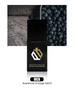 Avalanche Vintage by Perfume Parlour