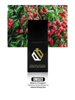 Black Dragon by Perfume Parlour