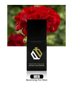 Booming For Men by Perfume Parlour