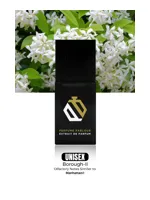 Borough II by Perfume Parlour