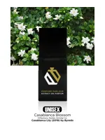 Casablanca Blossom by Perfume Parlour