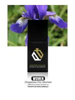 Chepstow by Perfume Parlour