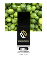 Coloured Plant by Perfume Parlour