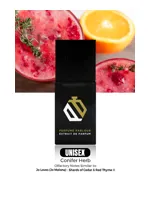 Conifer Herb by Perfume Parlour