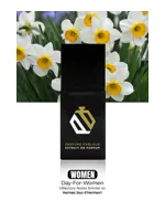Day For Women by Perfume Parlour