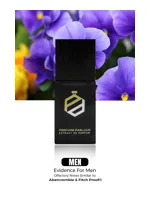 Evidence For Men by Perfume Parlour