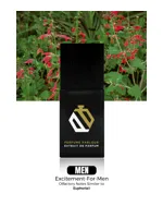 Excitement by Perfume Parlour
