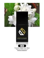 French Male by Perfume Parlour