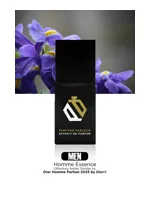 Homme Essence For Men by Perfume Parlour