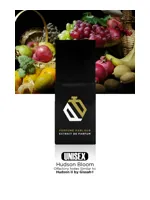 Hudson Bloom by Perfume Parlour