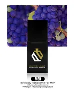 Inflexibly Handsome by Perfume Parlour