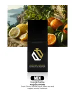 Insightable by Perfume Parlour