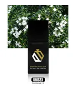 Intrinsic II by Perfume Parlour