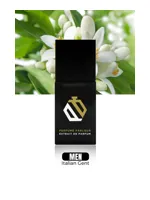 Italian Gent by Perfume Parlour