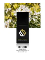 Kola Bean by Perfume Parlour
