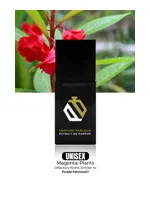 Magenta Plants by Perfume Parlour