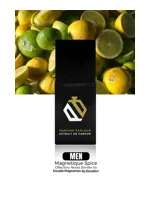 Magnetique Spice For Men by Perfume Parlour