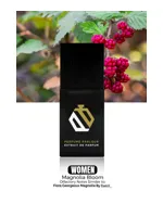 Magnolia Bloom For Women by Perfume Parlour