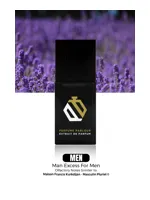 Man Excess by Perfume Parlour