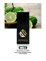 Mirabeau Bridge by Perfume Parlour