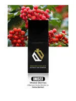 Mixed Berries by Perfume Parlour